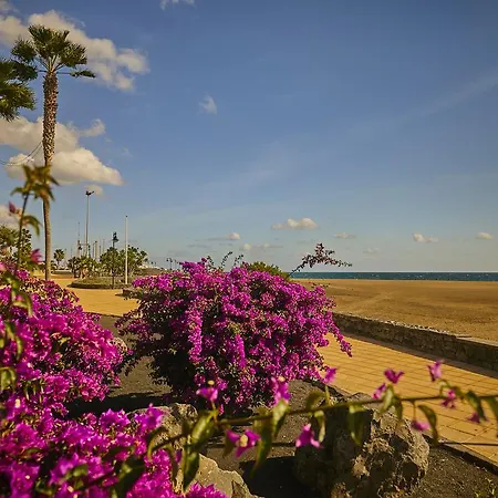 Holiday home Palmeras Puerto Del Carmen *